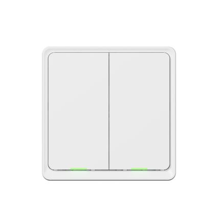 TESLA Smart - Interruptor doméstico inteligente 2P 230V Wi-Fi