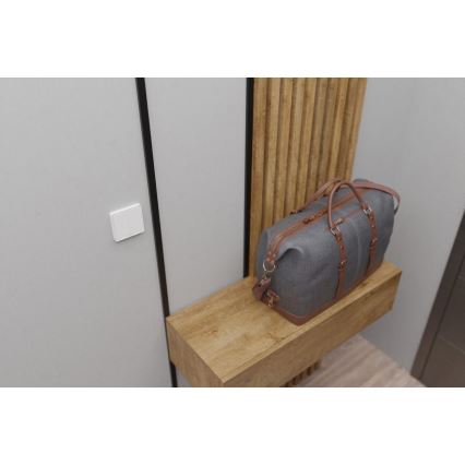 TESLA Smart - Interruptor doméstico sem fios inteligente 2P 1xCR2430 ZigBee