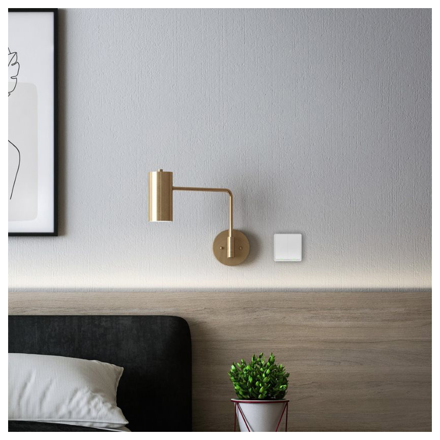 TESLA Smart - Interruptor doméstico sem fios inteligente 2P 1xCR2430 ZigBee
