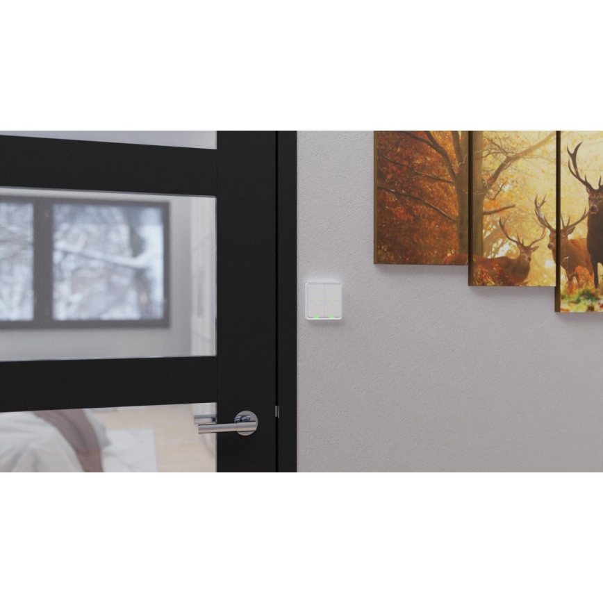 TESLA Smart - Interruptor doméstico sem fios inteligente 4P 1xCR2430 ZigBee