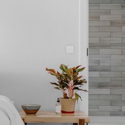 TESLA Smart - Interruptor inteligente para casa 1P 230V Wi-Fi