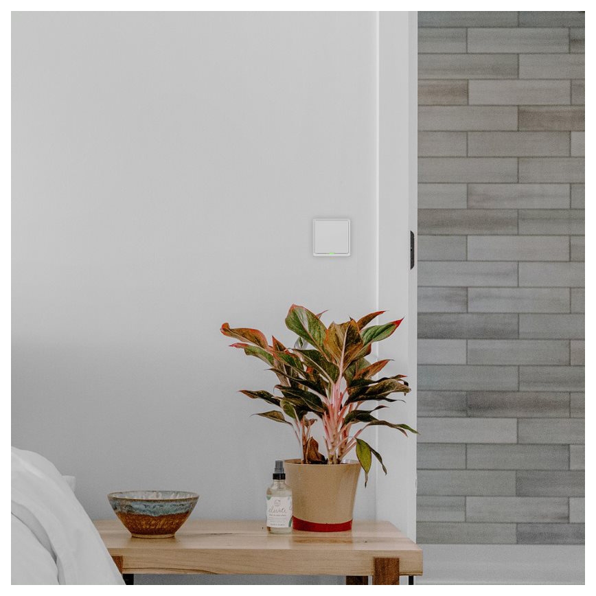 TESLA Smart - Interruptor inteligente para casa 1P 230V Wi-Fi