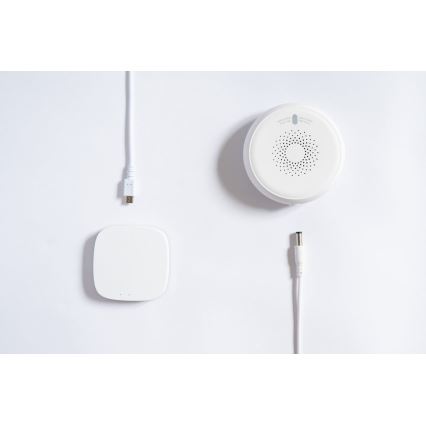 TESLA Smart - Sensor de fumo inteligente 1xCR123A Zigbee