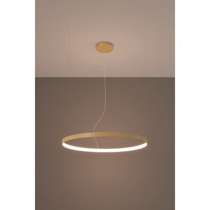 Thoro TH.174 - Candeeiro suspenso LED RIO LED/50W/230V CRI 90 3000K diâmetro 78 cm dourado