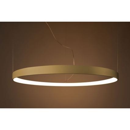 Thoro TH.174 - Candeeiro suspenso LED RIO LED/50W/230V CRI 90 3000K diâmetro 78 cm dourado