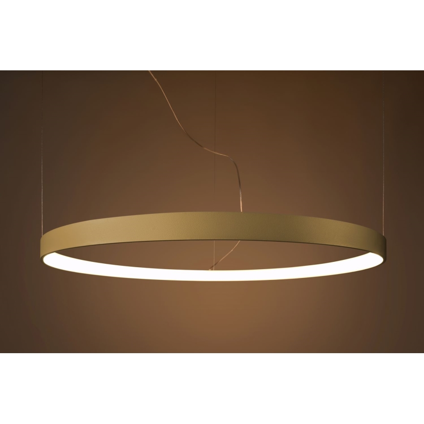 Thoro TH.174 - Candeeiro suspenso LED RIO LED/50W/230V CRI 90 3000K diâmetro 78 cm dourado