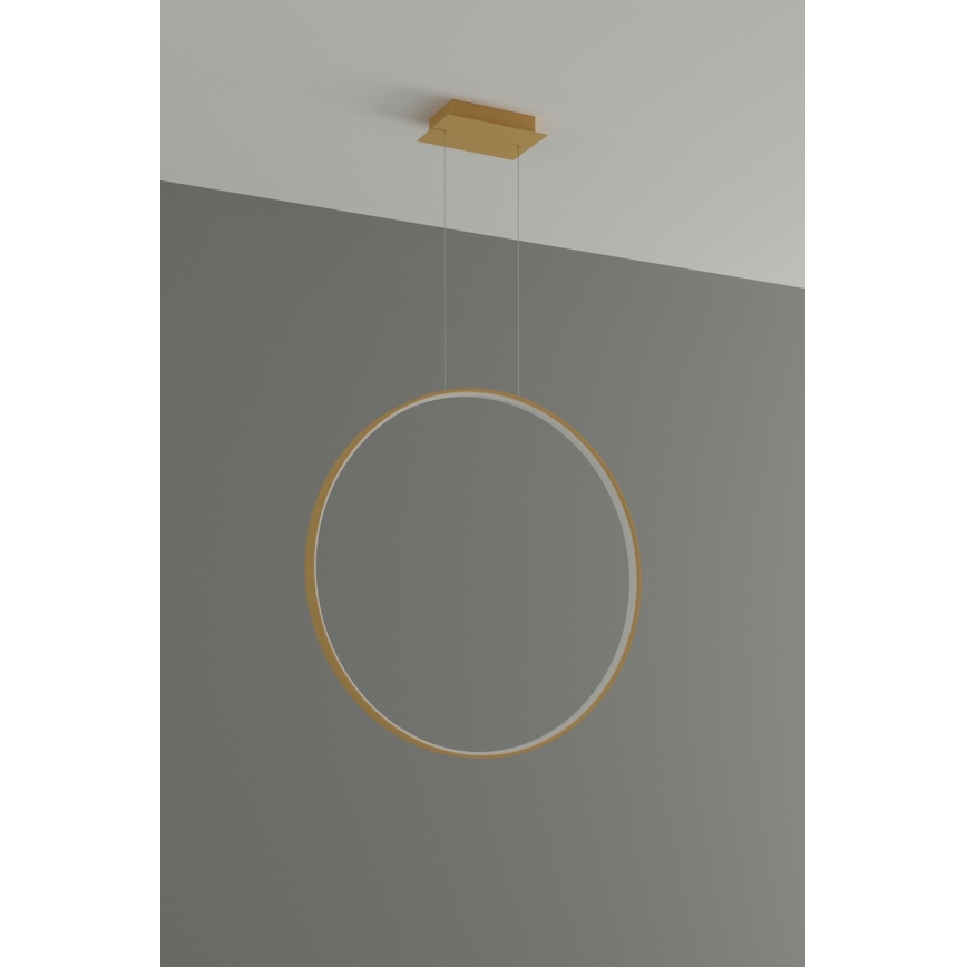 Thoro TH.175 - Candeeiro suspenso LED RIO LED/50W/230V CRI 90 3000K diâmetro 78 cm dourado