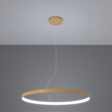 Thoro TH.181 - Candeeiro suspenso LED  RIO LED /50W/230V CRI 95 4000K diâmetro 78 cm dourado