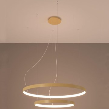 Thoro TH.214 - Candeeiro suspenso LED RIO LED/80W/230V CRI 90 3000K dourado