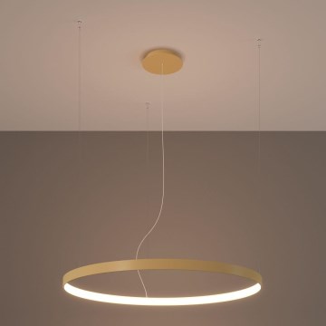 Thoro TH.216 - Candeeiro suspenso LED RIO LED/30W/230V CRI 90 3000K diâmetro 55 cm dourado