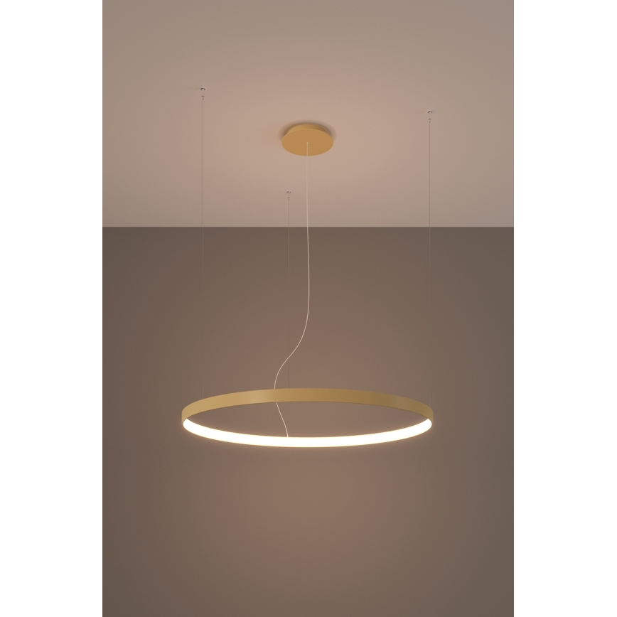 Thoro TH.216 - Candeeiro suspenso LED RIO LED/30W/230V CRI 90 3000K diâmetro 55 cm dourado