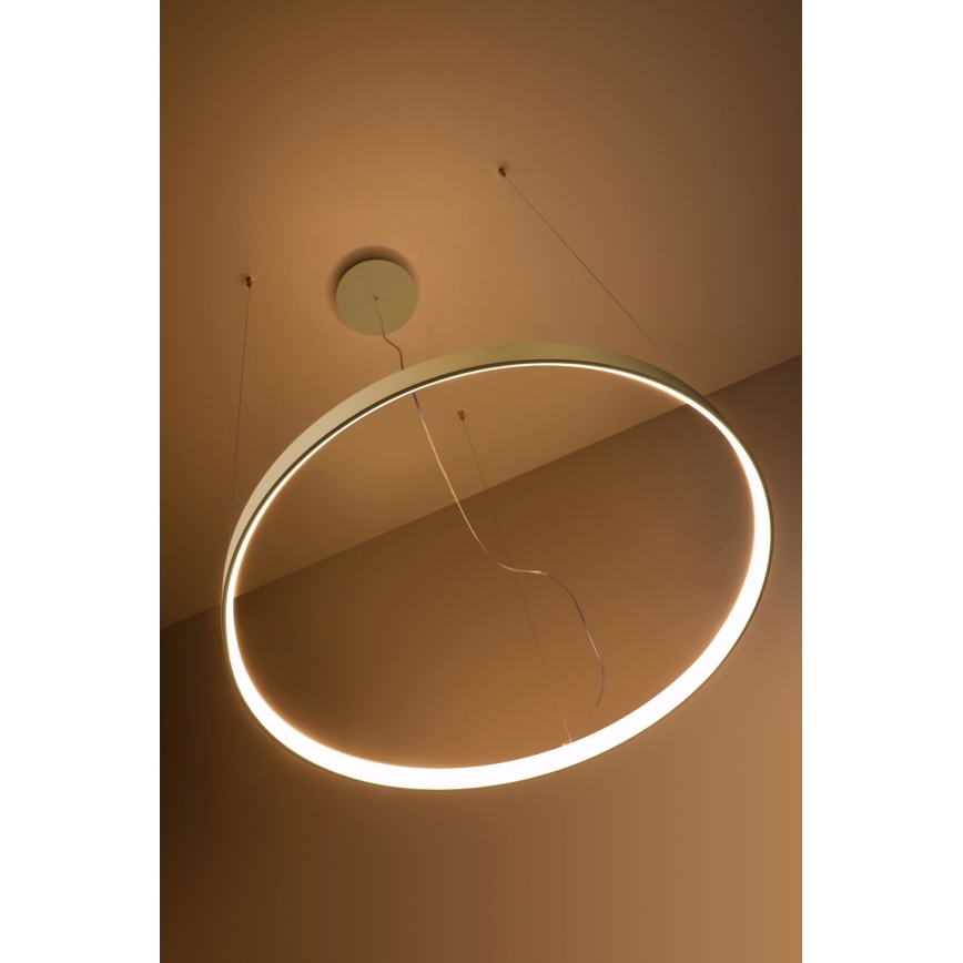 Thoro TH.216 - Candeeiro suspenso LED RIO LED/30W/230V CRI 90 3000K diâmetro 55 cm dourado