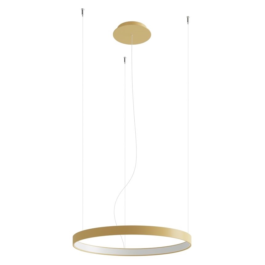 Thoro TH.216 - Candeeiro suspenso LED RIO LED/30W/230V CRI 90 3000K diâmetro 55 cm dourado