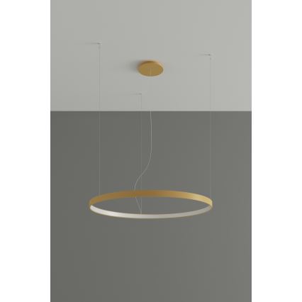 Thoro TH.217 - Candeeiro suspenso LED RIO LED/30W/230V CRI 95 4000K diâmetro 55 cm dourado