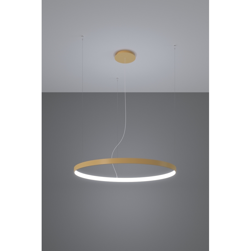 Thoro TH.217 - Candeeiro suspenso LED RIO LED/30W/230V CRI 95 4000K diâmetro 55 cm dourado