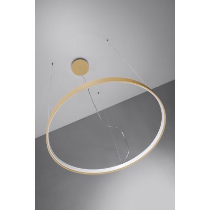 Thoro TH.217 - Candeeiro suspenso LED RIO LED/30W/230V CRI 95 4000K diâmetro 55 cm dourado