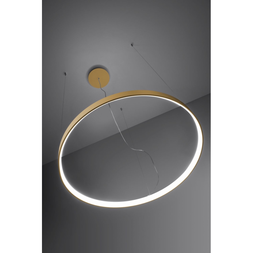 Thoro TH.217 - Candeeiro suspenso LED RIO LED/30W/230V CRI 95 4000K diâmetro 55 cm dourado