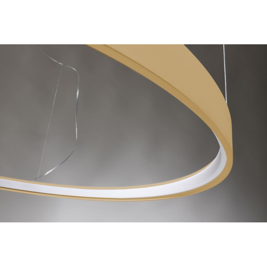 Thoro TH.217 - Candeeiro suspenso LED RIO LED/30W/230V CRI 95 4000K diâmetro 55 cm dourado