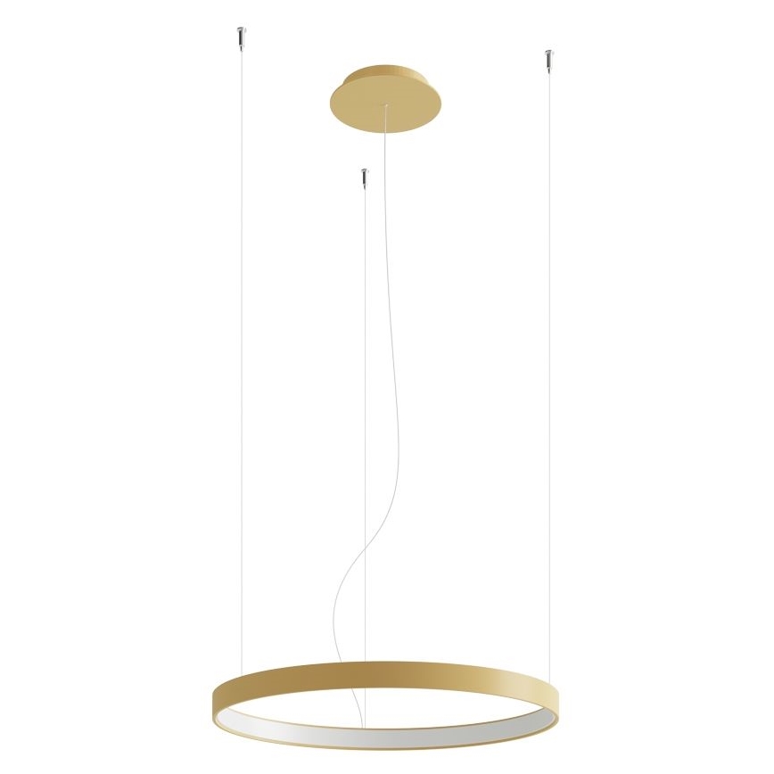 Thoro TH.217 - Candeeiro suspenso LED RIO LED/30W/230V CRI 95 4000K diâmetro 55 cm dourado