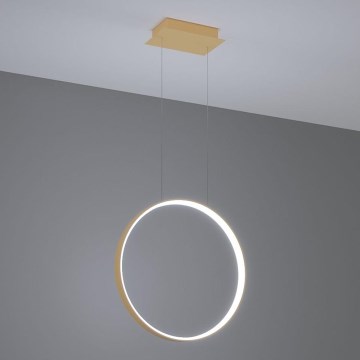 Thoro TH.221 - Candeeiro suspenso LED RIO LED/30W/230V CRI 95 4000K diâmetro 55 cm dourado