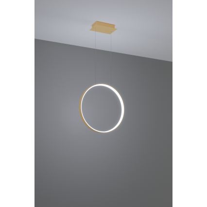Thoro TH.221 - Candeeiro suspenso LED RIO LED/30W/230V CRI 95 4000K diâmetro 55 cm dourado