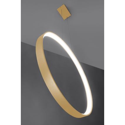 Thoro TH.221 - Candeeiro suspenso LED RIO LED/30W/230V CRI 95 4000K diâmetro 55 cm dourado
