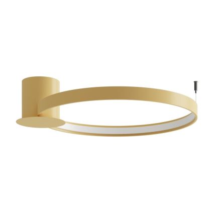 Thoro TH.223 - Iluminação de teto LED RIO LED/30W/230V CRI 95 4000K diâmetro 55 cm dourado