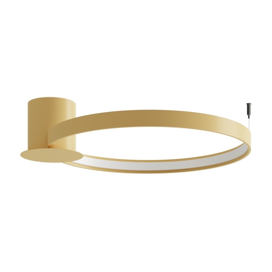 Thoro TH.223 - Iluminação de teto LED RIO LED/30W/230V CRI 95 4000K diâmetro 55 cm dourado