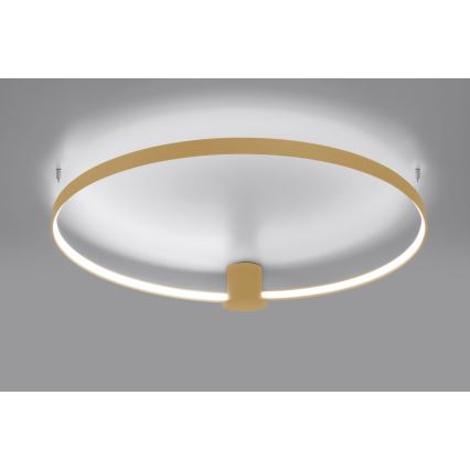 Thoro TH.223 - Iluminação de teto LED RIO LED/30W/230V CRI 95 4000K diâmetro 55 cm dourado