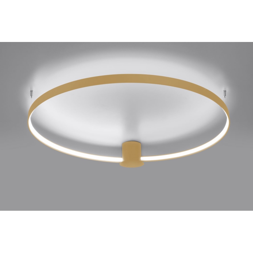 Thoro TH.223 - Iluminação de teto LED RIO LED/30W/230V CRI 95 4000K diâmetro 55 cm dourado