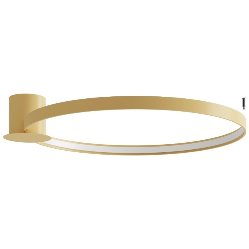 Thoro TH.224 - Iluminação de teto LED RIO LED/50W/230V CRI 90 3000K diâmetro 78 cm dourado