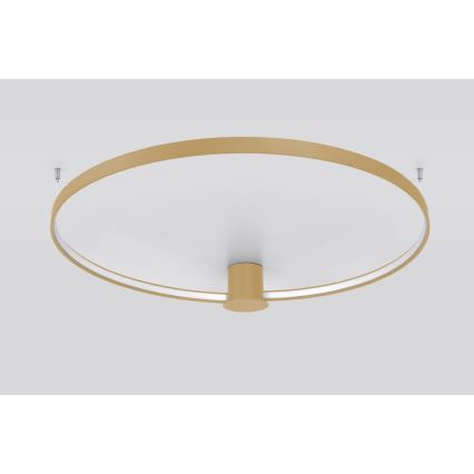 Thoro TH.224 - Iluminação de teto LED RIO LED/50W/230V CRI 90 3000K diâmetro 78 cm dourado