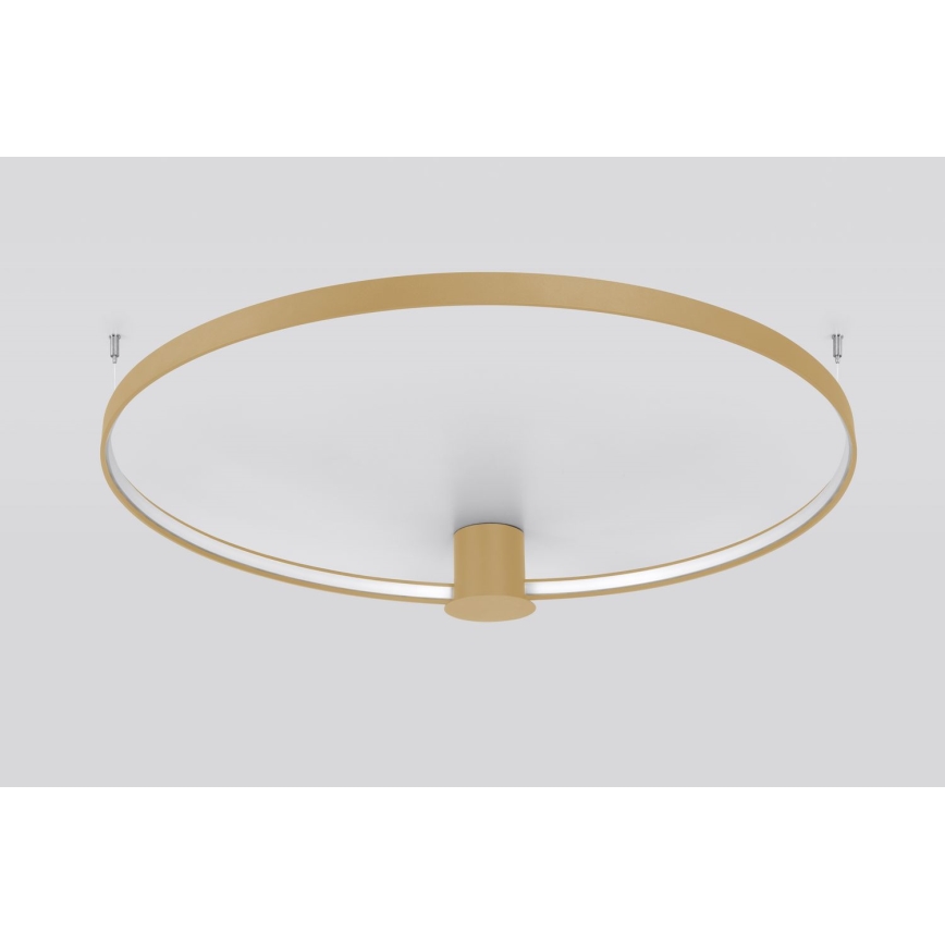 Thoro TH.224 - Iluminação de teto LED RIO LED/50W/230V CRI 90 3000K diâmetro 78 cm dourado