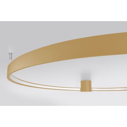 Thoro TH.224 - Iluminação de teto LED RIO LED/50W/230V CRI 90 3000K diâmetro 78 cm dourado