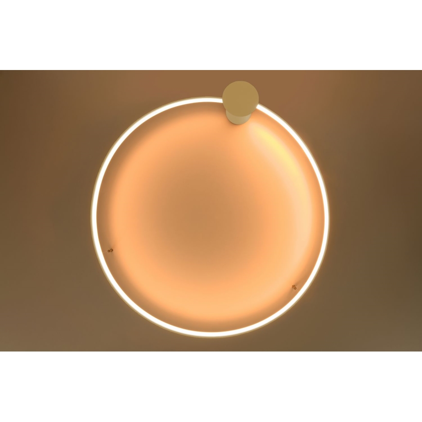 Thoro TH.224 - Iluminação de teto LED RIO LED/50W/230V CRI 90 3000K diâmetro 78 cm dourado