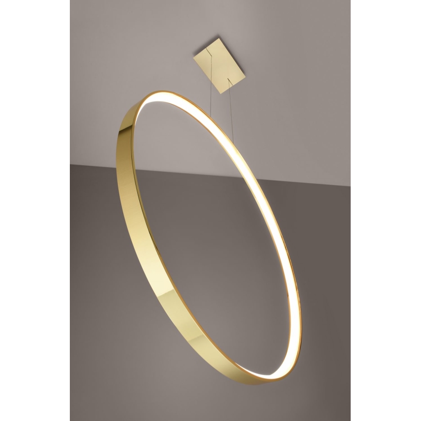Thoro TH.248 - Candeeiro suspenso LED RIO LED/50W/230V CRI 90 3000K diâmetro 78 cm dourado