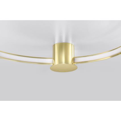 Thoro TH.252 - Iluminação de teto LED RIO LED/50W/230V CRI 90 3000K diâmetro 78 cm dourado