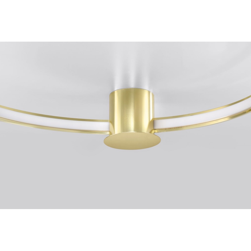 Thoro TH.252 - Iluminação de teto LED RIO LED/50W/230V CRI 90 3000K diâmetro 78 cm dourado