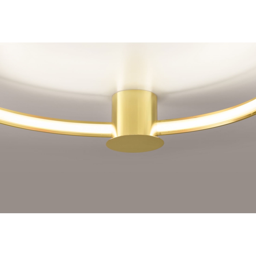 Thoro TH.252 - Iluminação de teto LED RIO LED/50W/230V CRI 90 3000K diâmetro 78 cm dourado