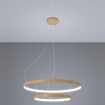 Thoro TH.268 - Candeeiro suspenso LED RIO LED/80W/230V CRI 95 4000K dourado