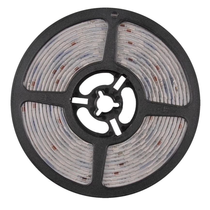Tira exterior LED RGBW com regulação 5m LED/24W/12V IP65