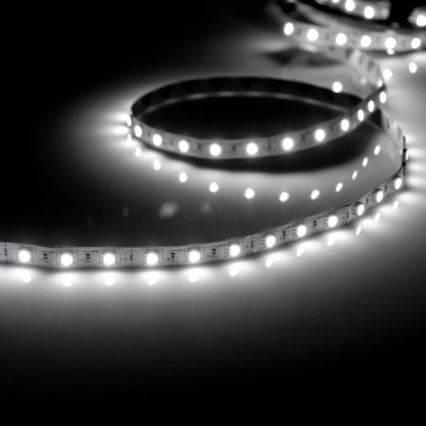 Tira LED 5m 28W/12V IP20 6500K