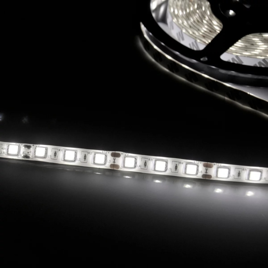 Tira LED 5m 28W/12V IP20 6500K