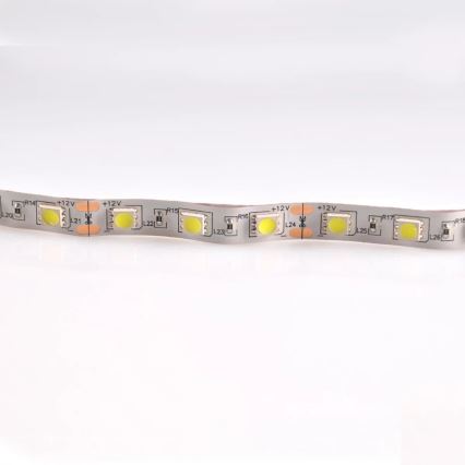 Tira LED 5m 28W/12V IP20 6500K