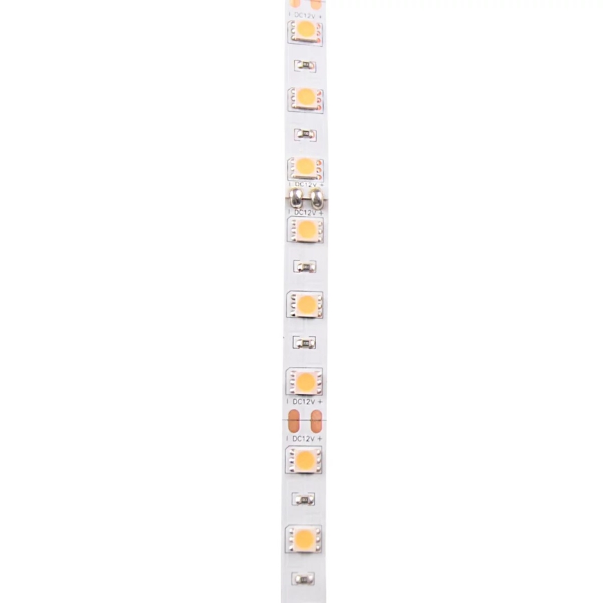 Tira LED 5m 45W/12V IP20 3000K