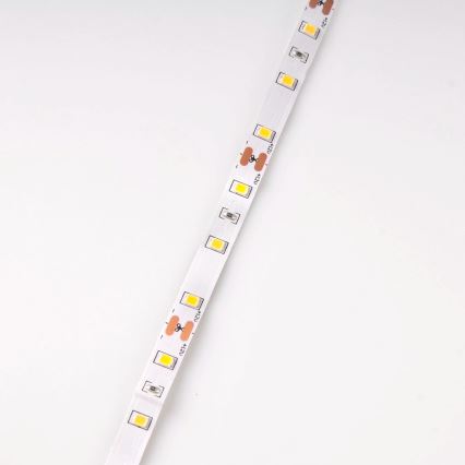 Tira LED 5m LED/10W/12V IP20 3300K