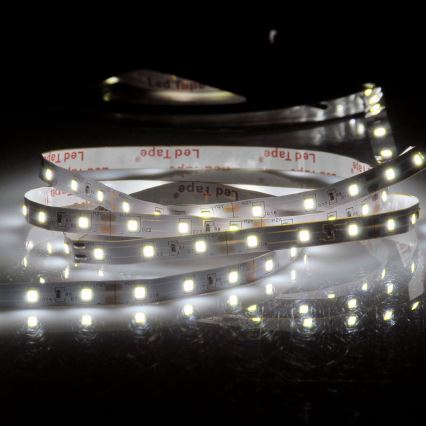 Tira LED 5m LED/10W/12V IP20 6500K