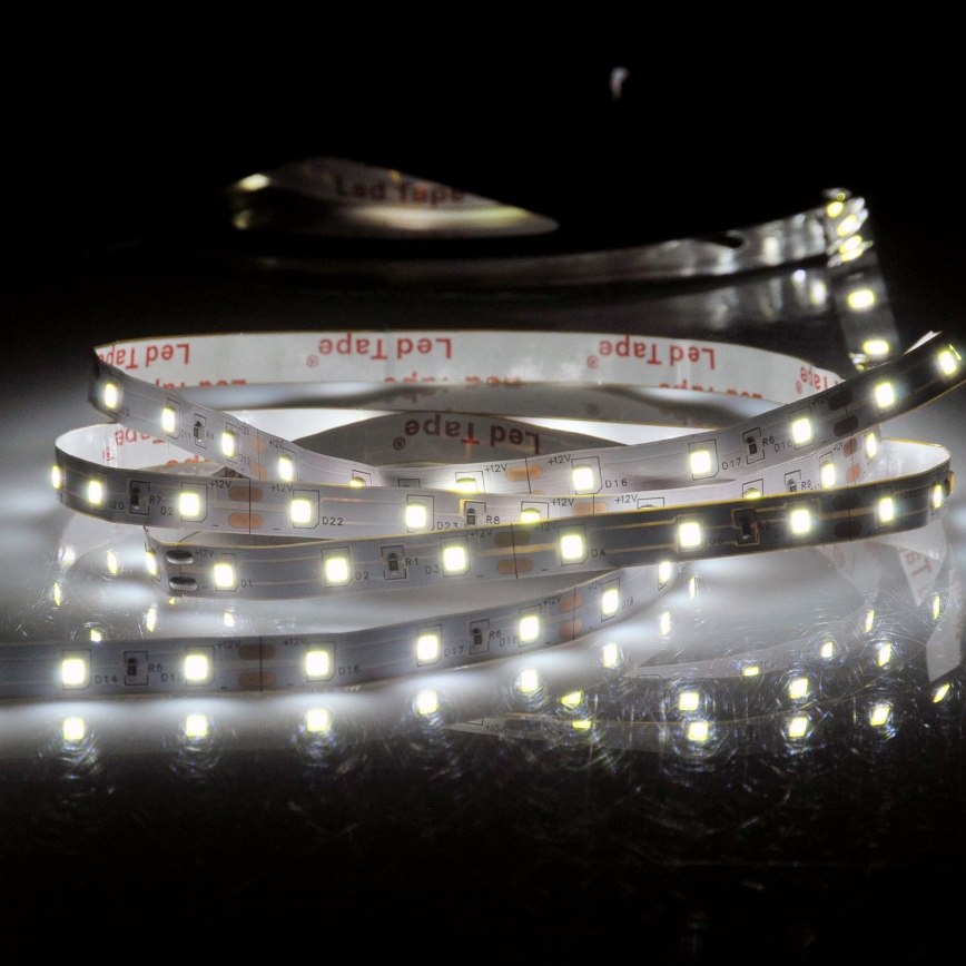 Tira LED 5m LED/10W/12V IP20 6500K