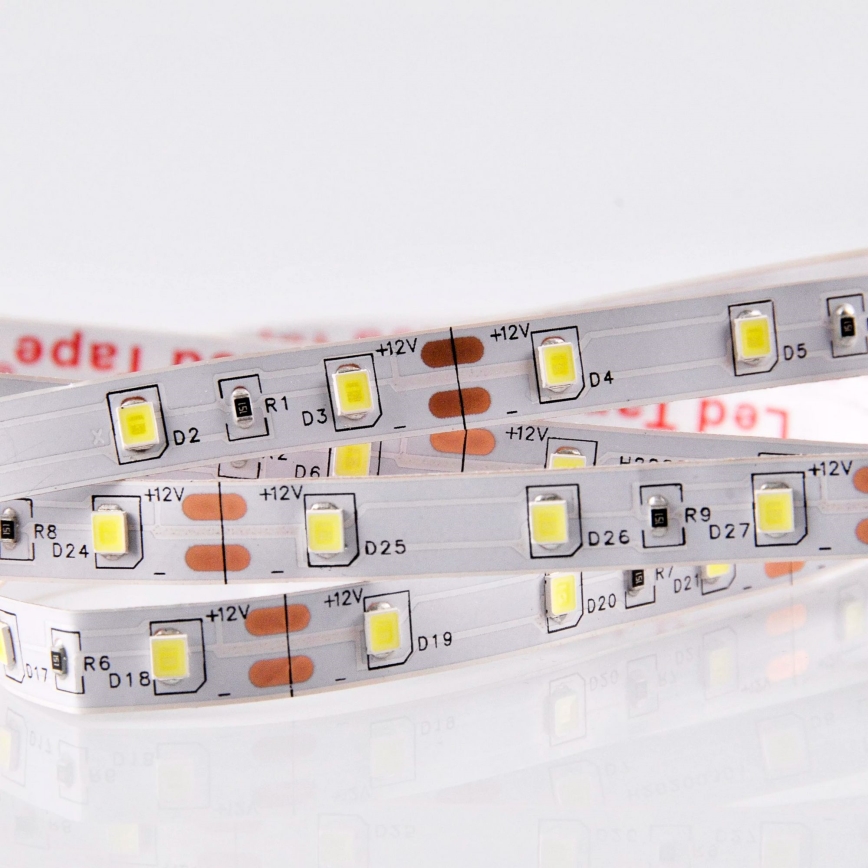 Tira LED 5m LED/10W/12V IP20 6500K