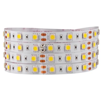 Tira LED 5m LED/10W/12V IP20 branco